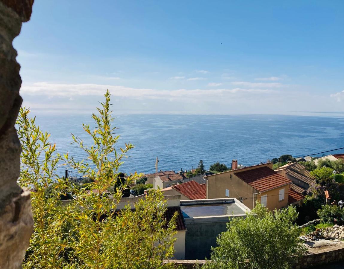 Maison Mediterraneo - Rez De Villa, Vue Imprenable Sur La Mer 皮特讷阿 外观 照片