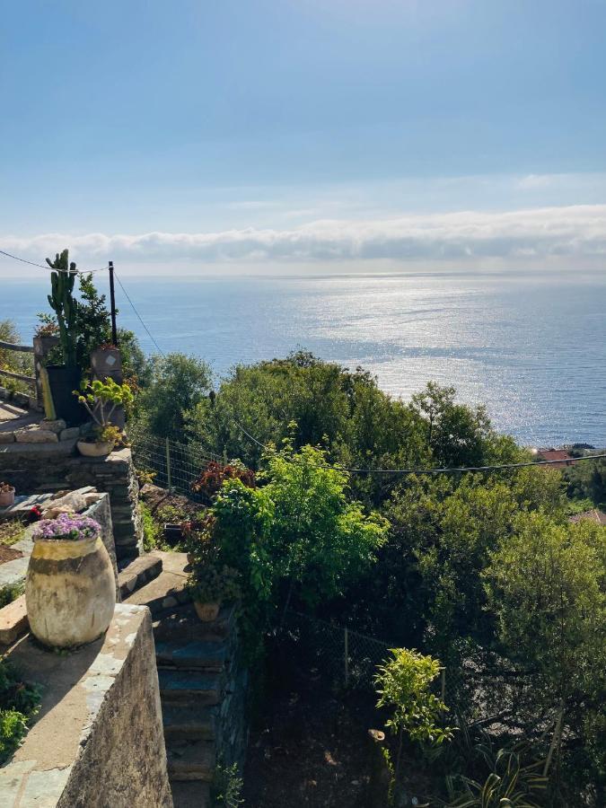Maison Mediterraneo - Rez De Villa, Vue Imprenable Sur La Mer 皮特讷阿 外观 照片